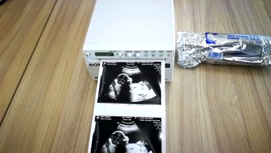 Video Paper From Alpha Paper